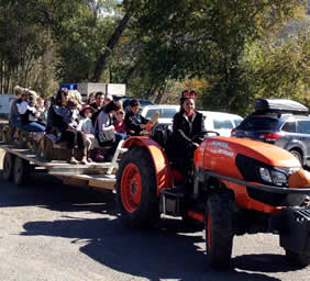 Pumpkin Patch & Hayrides