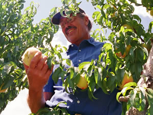 Sustainably Grown