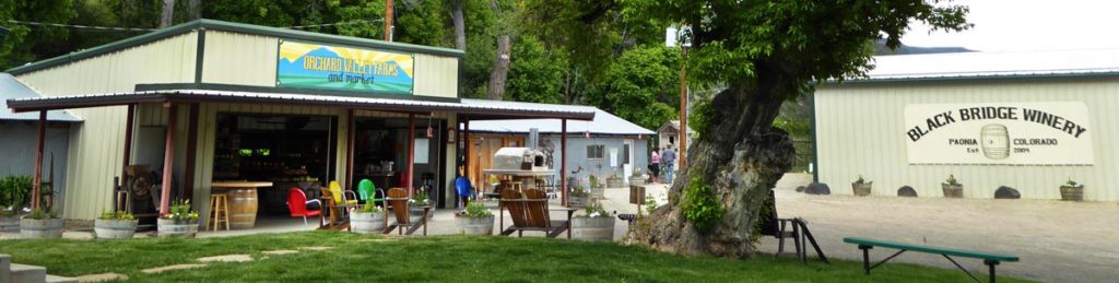 Farm Market - Winery