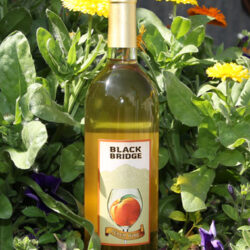 Colorado Peach Wine Black Bridge Winery