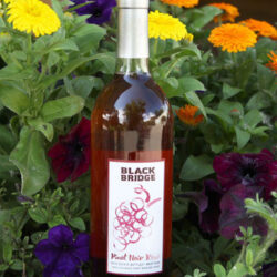 Pinot Noir Rosé from Black Bridge Winery, West Elks AVA Paonia Colorado